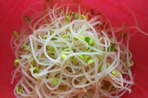 鸡丝凉面的做法图解3