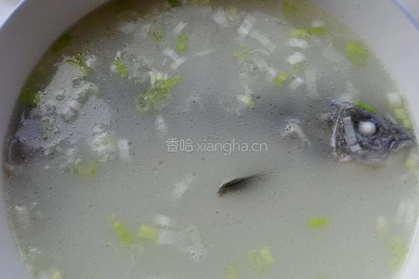 香煎鲫鱼汤的做法图解5
