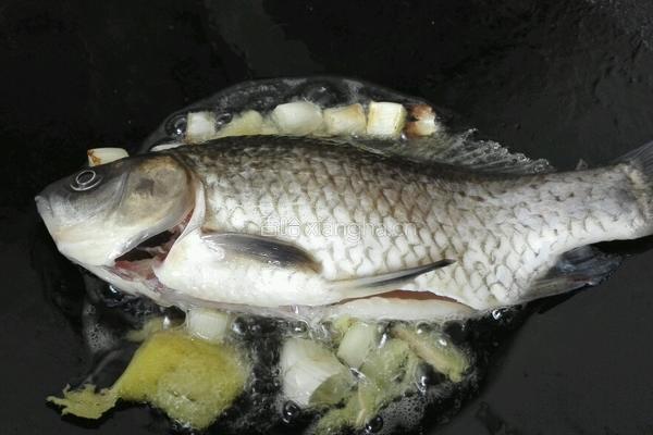 香煎鲫鱼汤的做法图解2
