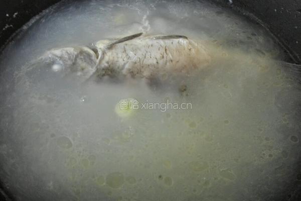 香煎鲫鱼汤的做法图解4
