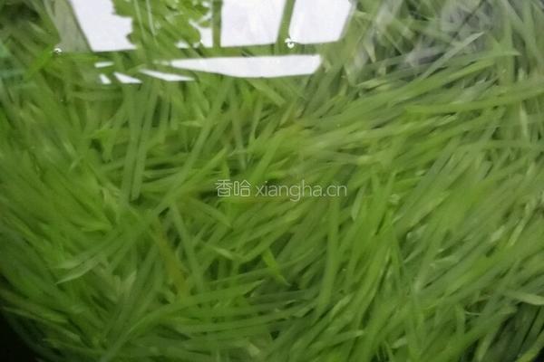 凉拌莴笋的做法图解3