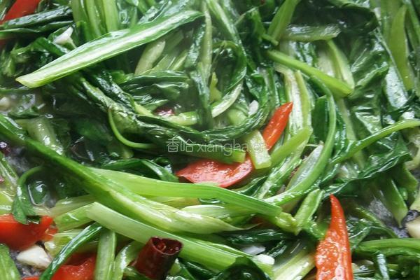 蒜蓉油麦菜的做法图解4