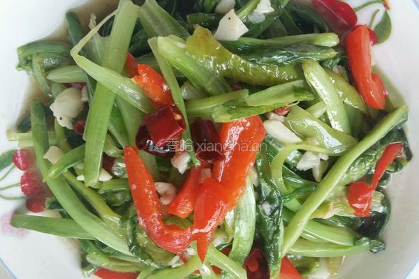 蒜蓉油麦菜的做法图解5