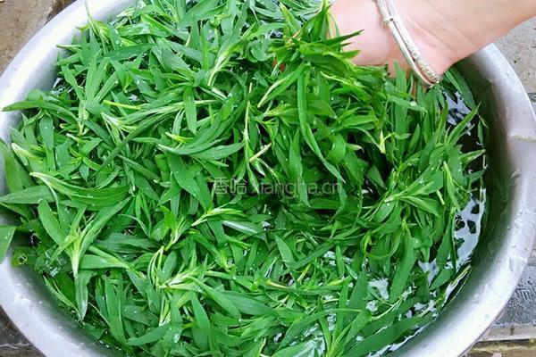 蒸野菜(扫帚苗子)的做法图解2