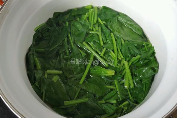 凉拌菠菜的做法图解2