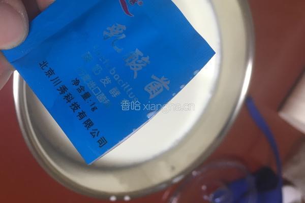 酸奶的做法图解3