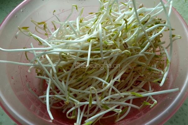 剁椒豆芽的做法图解1