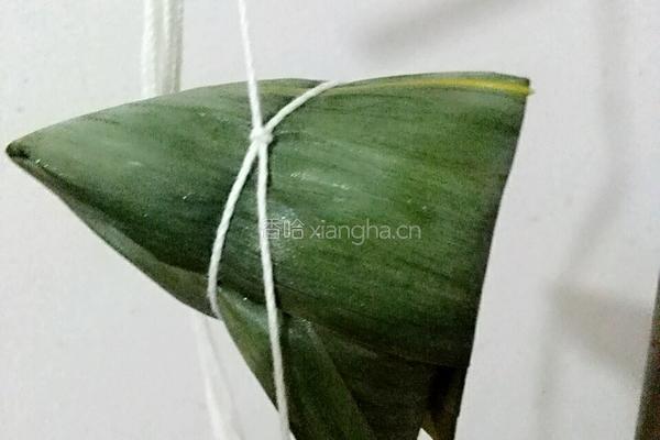 粽叶飘香的做法图解19
