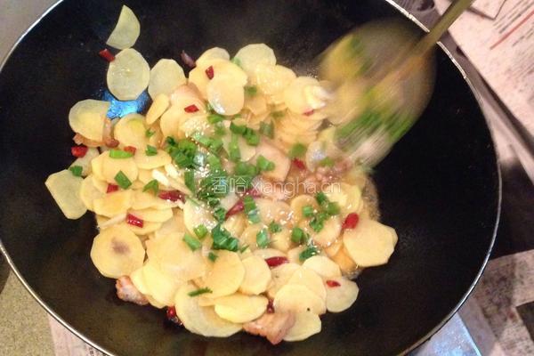 土豆片炒瘦肉的做法图解8