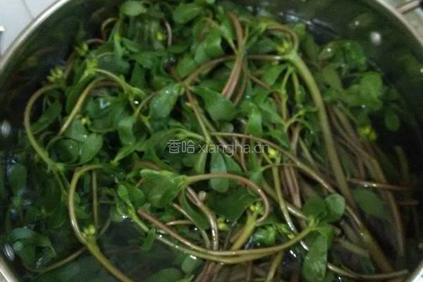 剁椒炒马齿苋的做法图解2
