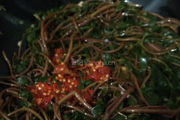 剁椒炒马齿苋的做法图解7