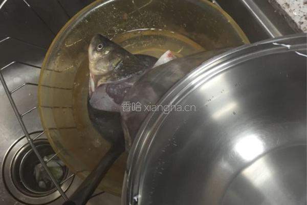 鲫鱼豆腐汤的做法图解2