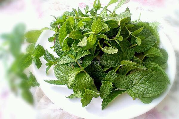 柠檬薄菏蛋饼的做法图解2