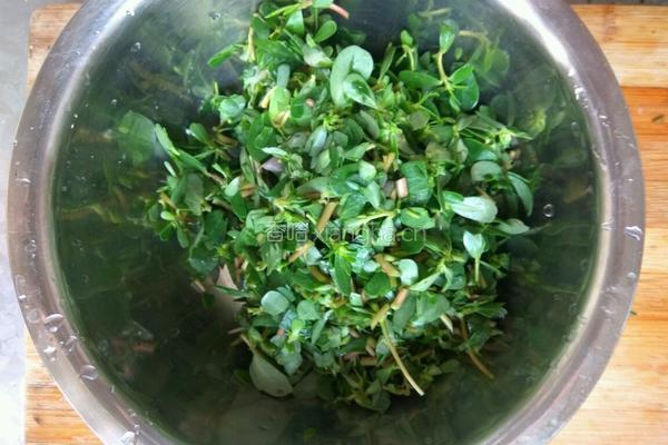马齿笕鸡蛋煎饼的做法图解2