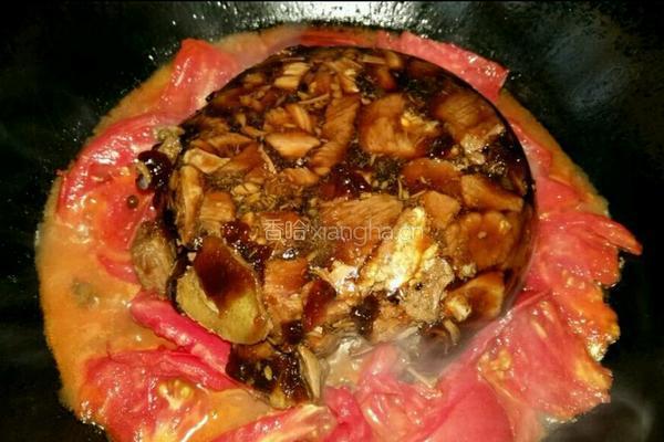 番茄炖牛肉的做法图解7
