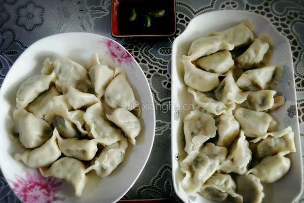 荠菜猪肉馅饺子的做法图解9