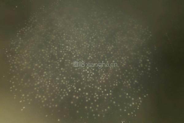 龟苓膏芒果西米露的做法图解7