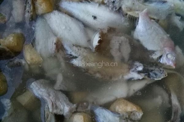 杂鱼汤的做法图解5