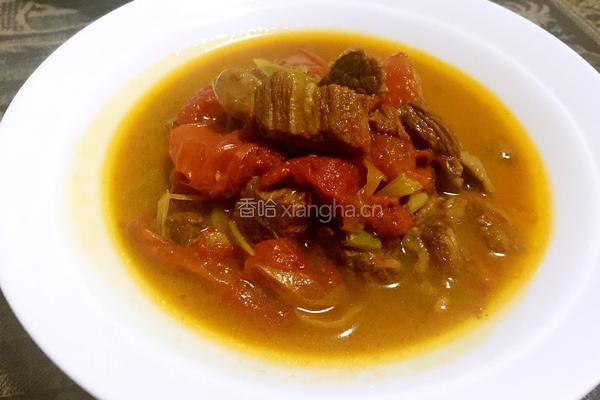 西红柿炖牛腩的做法图解9