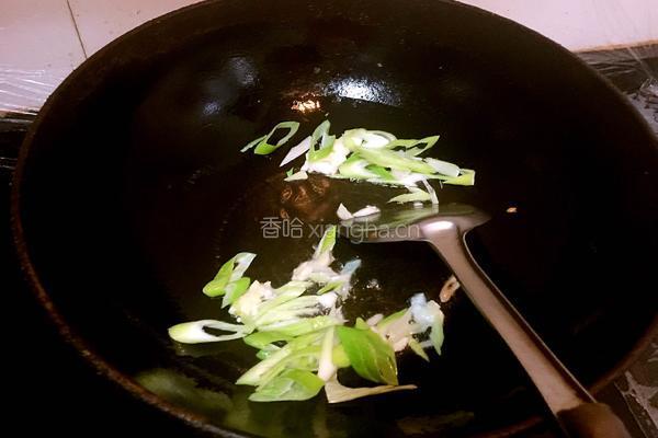 西红柿炖牛腩的做法图解6