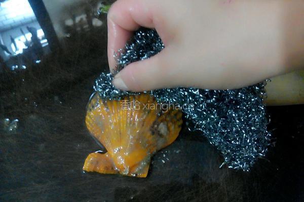 蒜蓉扇贝蒸粉丝的做法图解4