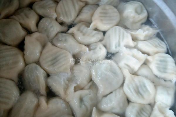 鲅鱼饺子的做法图解5