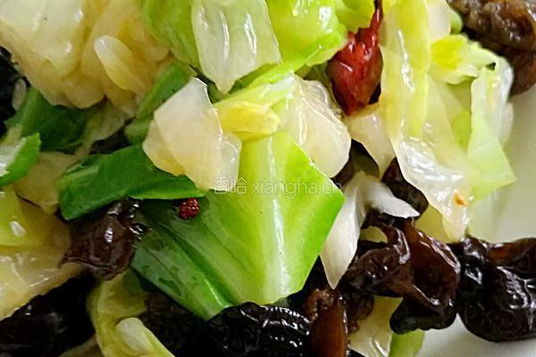 呛拌圆白菜的做法图解7