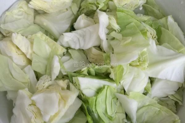 呛拌圆白菜的做法图解1