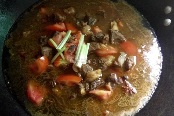 西红柿土豆炖牛肉的做法图解5