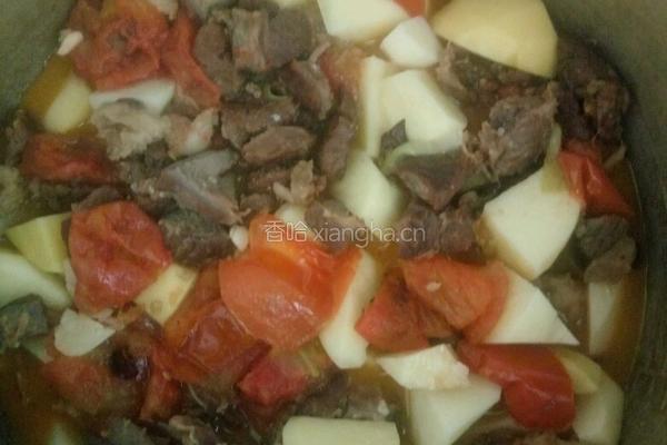 西红柿土豆炖牛肉的做法图解6