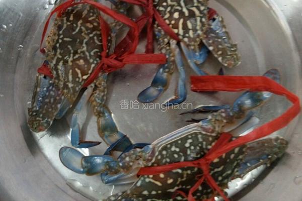 姜葱炒花蟹的做法图解1
