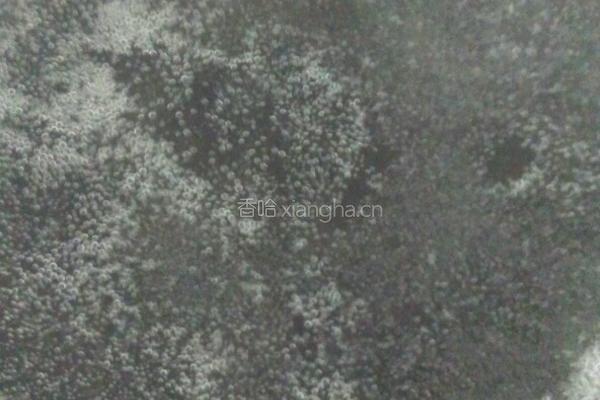 玉米凉粉的做法图解2
