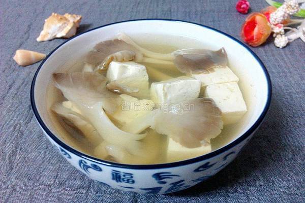 平菇豆腐汤的做法图解6