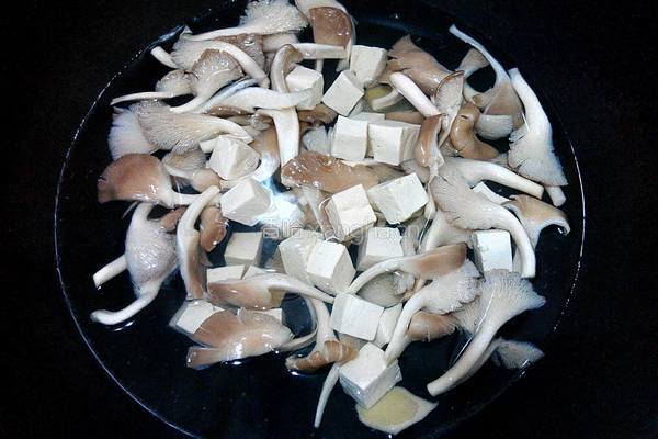 平菇豆腐汤的做法图解4