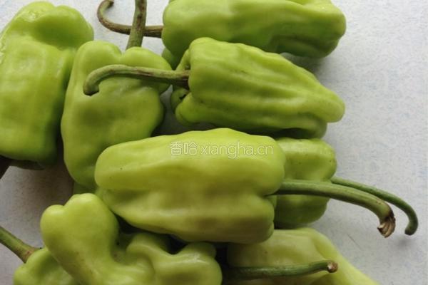 炒牛肝菌（见手青）的做法图解3