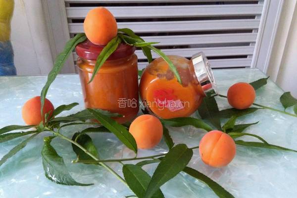 自制杏子果酱的做法图解7