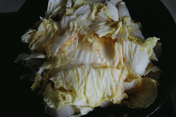 西红柿炖白菜豆腐的做法图解8