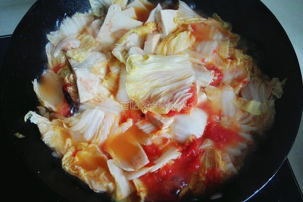 西红柿炖白菜豆腐的做法图解9