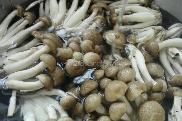 清炒蟹味菇的做法图解1
