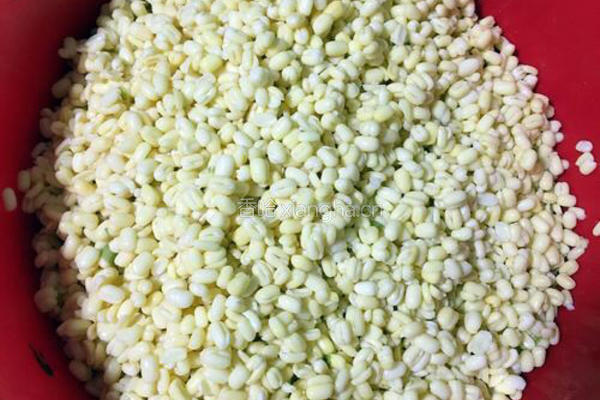 纯手工绿豆糕（原味低糖版）的做法图解4
