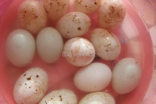 自制皮蛋的做法的做法图解3