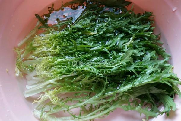 凉拌苦菊紫甘蓝的做法图解1