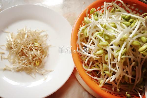 凉拌黄豆芽的做法图解1