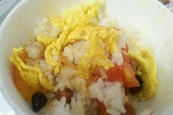 西红柿鸡蛋拌饭的做法图解5