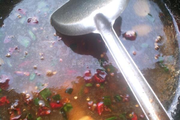 麻辣红烧鲤鱼的做法图解6