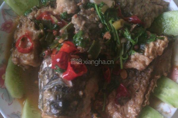 麻辣红烧鲤鱼的做法图解9