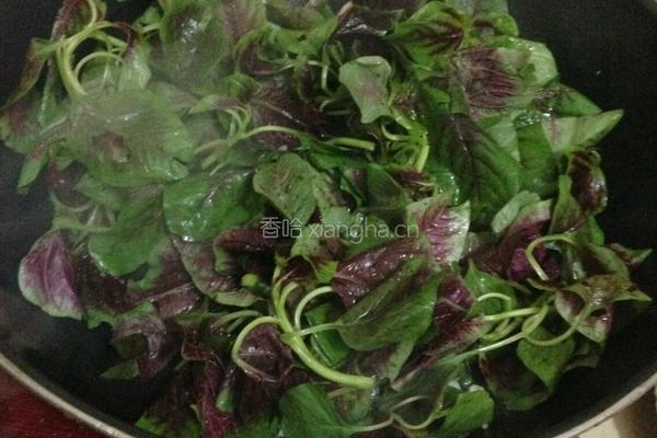 蒜炒苋菜的做法图解5