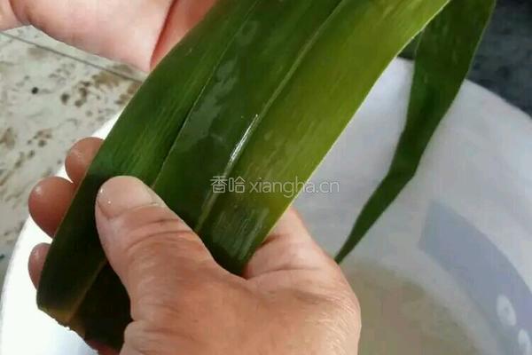端午节粽子的做法图解3