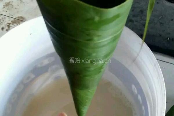 端午节粽子的做法图解6