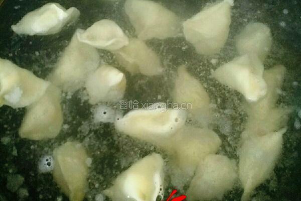 猪肉大葱水饺的做法图解8